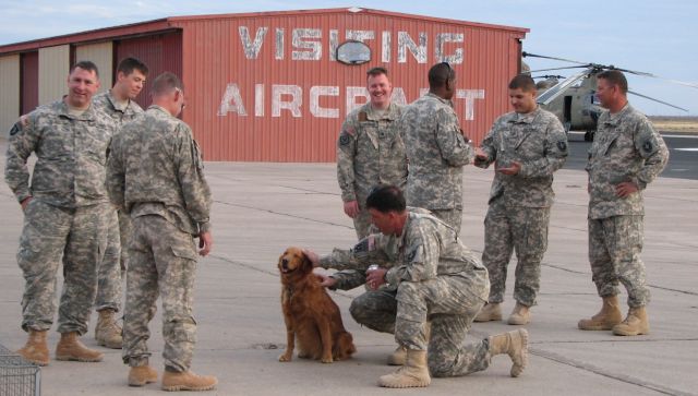 — — - Airport dog!