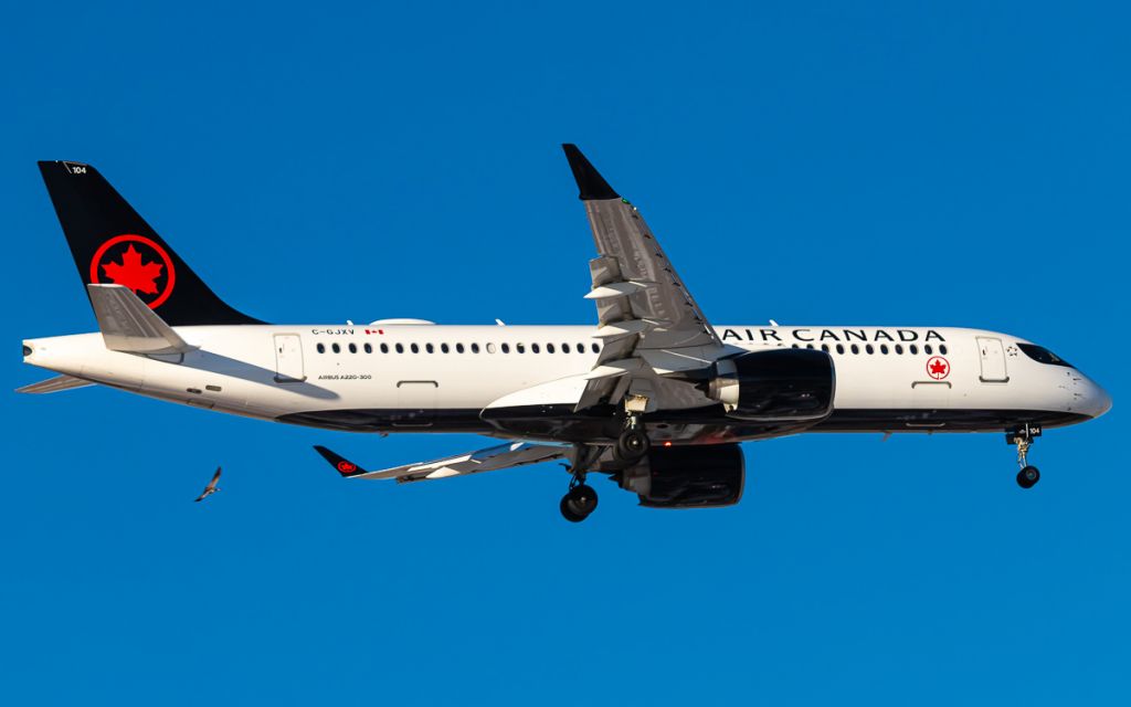 Airbus A220-300 (C-GJXV)
