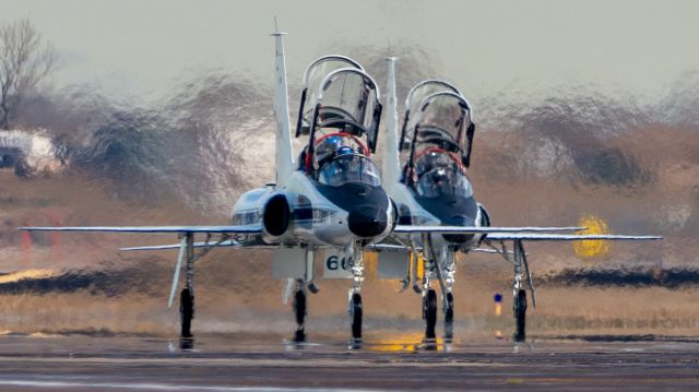 Northrop T-38 Talon (N966NA) - Two NASA T38s taxi in after a formation flight on 25 January 2024 for NASA's Day of Remembrance ceremony. Taken from the T38 shelters at NASA Ellington Field