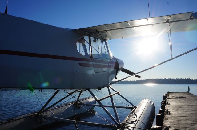 Piper L-21 Super Cub (N9666P)