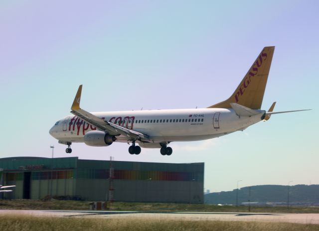 Boeing 737-800 (TC-AAL) - Landing runway 06.