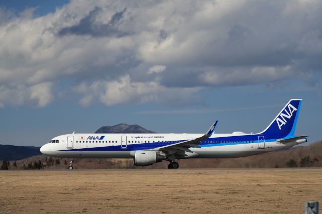 Airbus A321 (JA111A) - April 3rd 2019:HKD-HND.