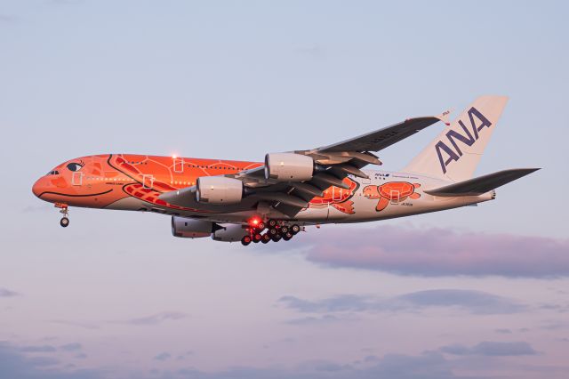 Airbus A380-800 (JA383A)