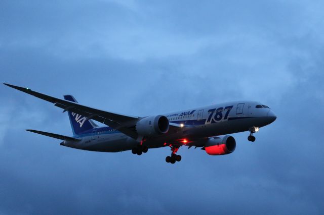 Boeing 787-8 (JA809A) - 17 August 2015:HND-HKD.