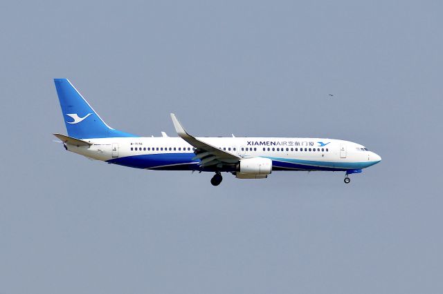 Boeing 737-800 (B-7176)