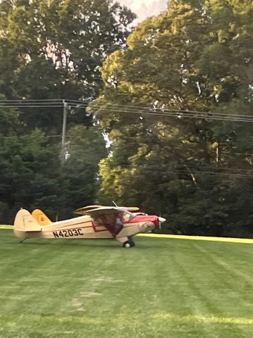 Piper PA-12 Super Cruiser (N4203C)