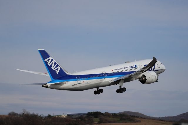 Boeing 787-8 (JA817A) - November 25th 2018:HKD-HND.