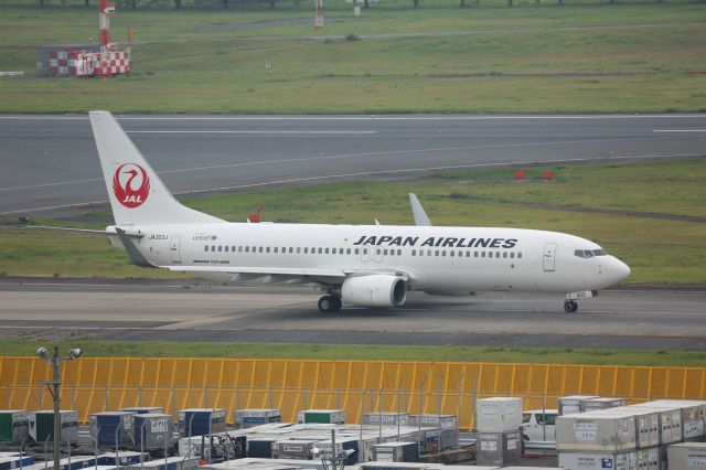 Boeing 737-800 (JA303J)