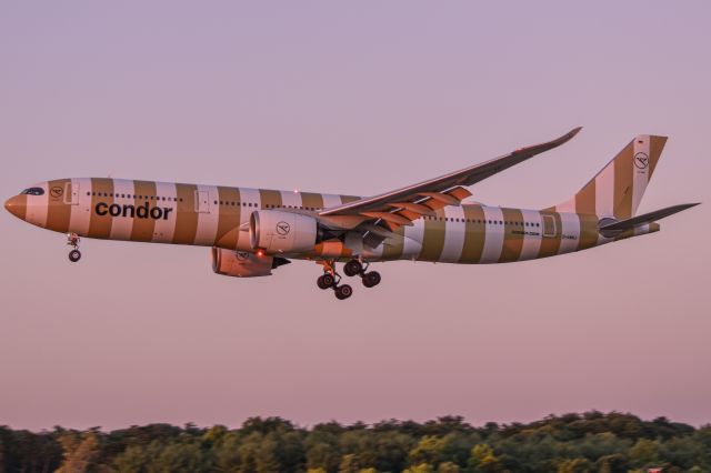 Airbus A330-900 (D-ANRJ)