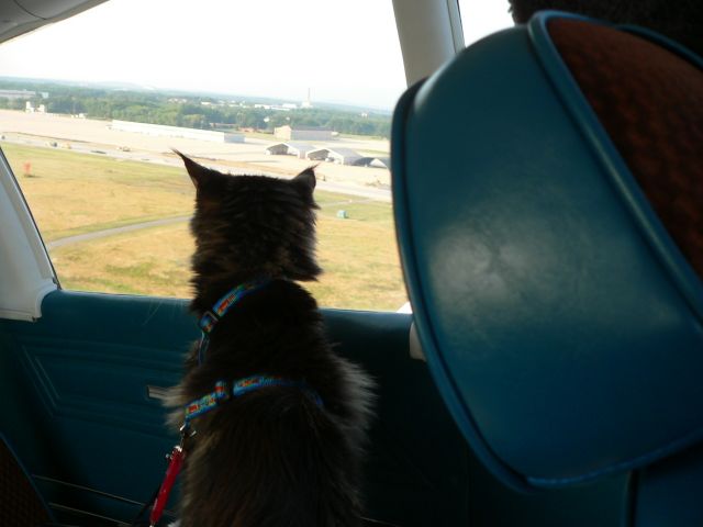 Piper Cherokee (N55774) - SISU watching as we depart.