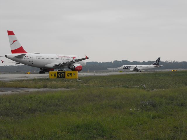 Airbus A319 (OE-LDF)