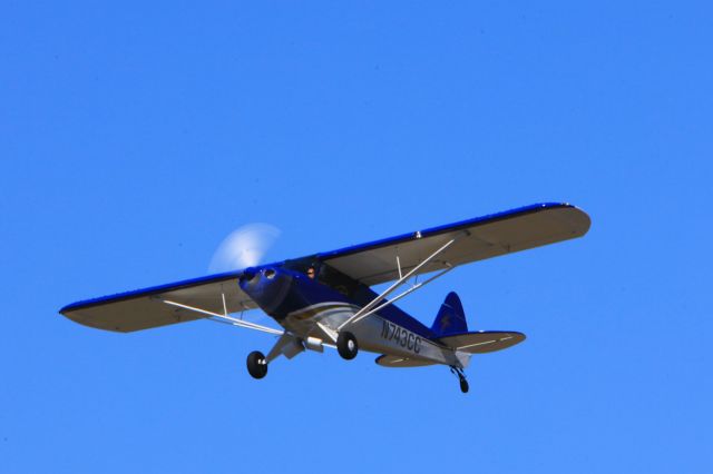 Piper L-18B Cub Special (N743CC)