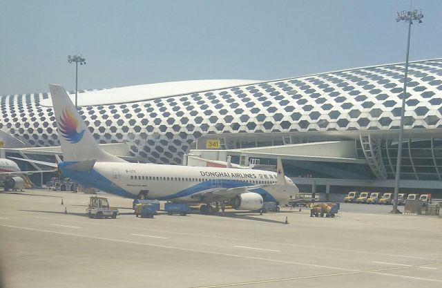 Boeing 737-800 (B-1771)