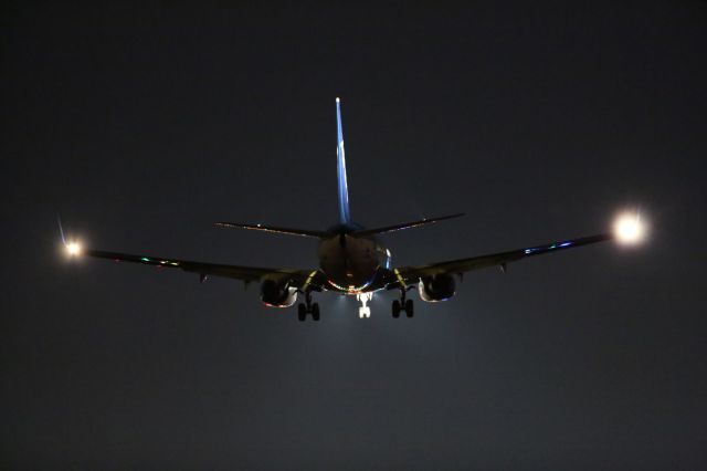 Boeing 737-800 (JA58AN) - 02 November 2016:HND-HKD.