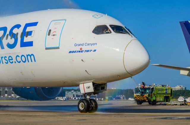 Boeing 787-9 Dreamliner (G-CKWP)