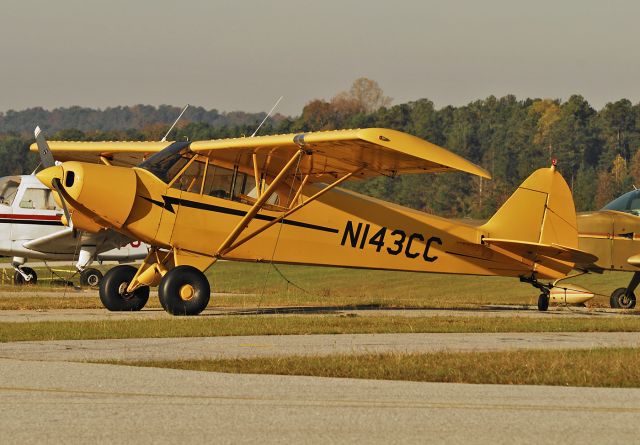 Piper L-21 Super Cub (N143CC) - Piper/cub Crafters PA-18-150 C/N 9956CC - N143CC - at Tara Airfield (4A7) - 2010-Nov-01.