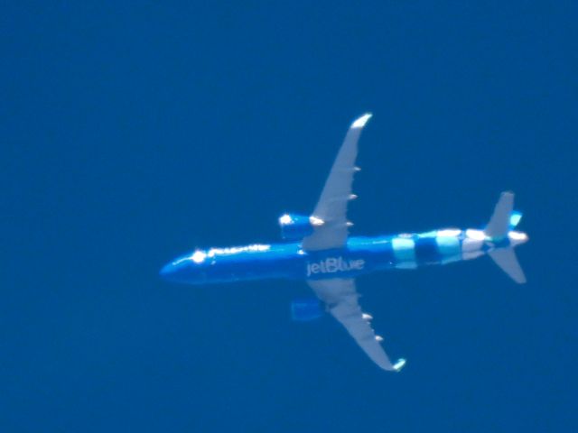 Airbus A321neo (N2188J) - JBU723br /JFK-LAXbr /11/24/2024