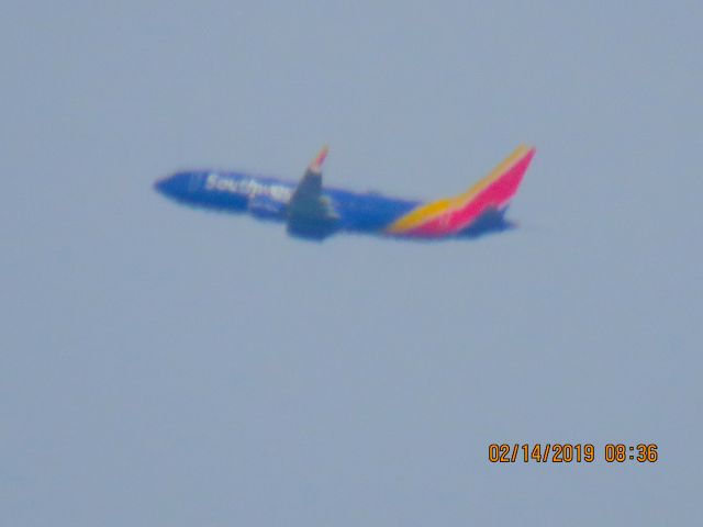 Boeing 737-800 (N8504G)