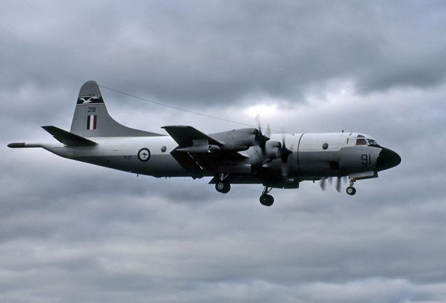A9291 — - AUSTRALIA - AIR FORCE - LOCKHEED P-3B ORION - REG A9-291 / 91 (CN 185B-5401) - EDINBURGH RAAF BASE ADELIADE SA. AUSTRALIA - YPED (16/6/1983)