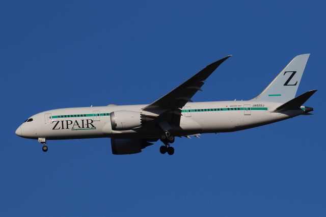 Boeing 787-8 (JA822J)