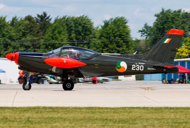 SIAI-MARCHETTI Warrior (N230AP)