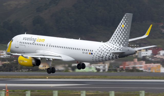Airbus A320 (EC-LZE)