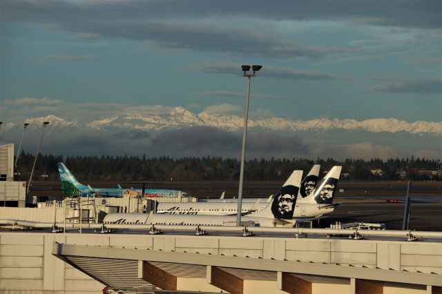 Boeing 737-800 (N560AS) - KSEA - N560AS rolling to the gate arriving from LAS with a spectacular view of the Olympic Mountain Range west of Seattle Tacoma Intl Airport - Dec 28, 2019 - I was extremely lucky to see this jet and the cleared weather over the mountains as I was only here for 1 hour and the clouds covered the view less than 30 mins later.