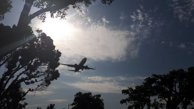 Boeing 737-800 — - FINAL APPROACH 24R