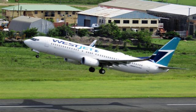 Boeing 737-800 (C-FUMF)