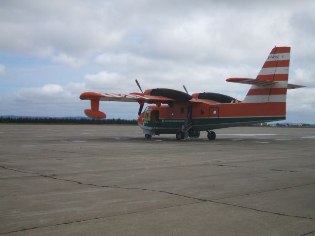 C-FAYU — - Parked on Ramp on Forest Fire Standby  at  Goose airport lab.