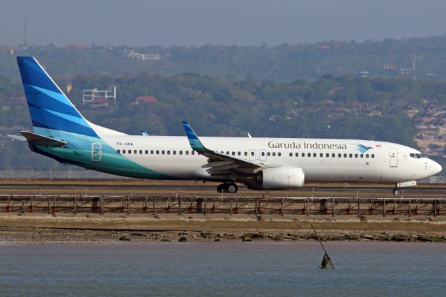 Boeing 737-800 (PK-GNA)
