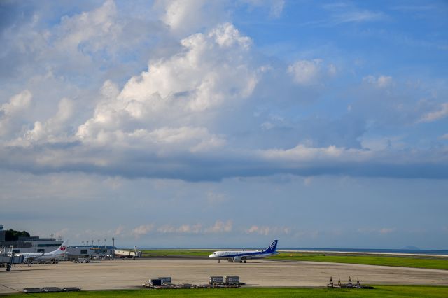 Airbus A320 (JA219A) - 2022.8.18br /NH797 HND→OIT