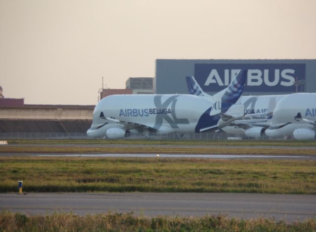 AIRBUS A-330-700 Beluga XL (BGA331J) - Béluga taxing