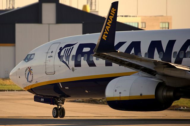 Boeing 737-800 (EI-DAM)