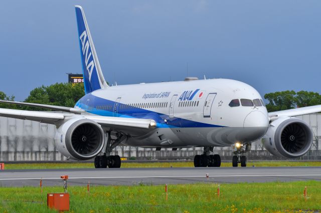 Boeing 787-8 (JA817A) - 2022.7.9 NH36 ITM→HND