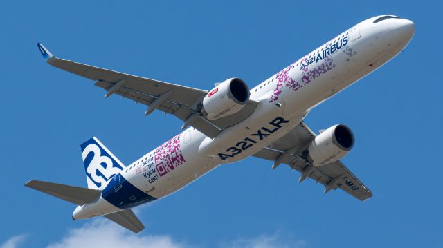 Airbus A321neo (F-WWAB) - F-WWAB doing a low pass over the Airbus facilities