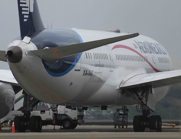 Boeing 787-8 (XA-AMR) - I took this picture on Aug 29, 2018.br /AM50/28Aug2018