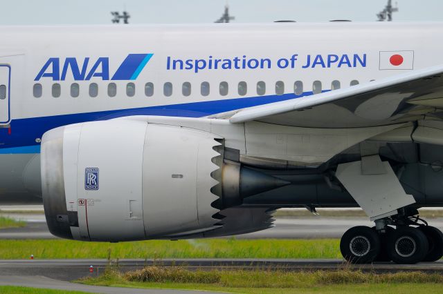 Boeing 787-8 (JA812A)