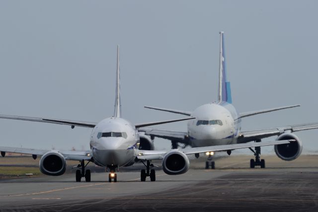 Boeing 737-500 (JA356K) - and JA703A(ANA)