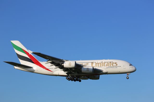 Airbus A380-800 (A6-EDO)