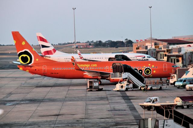 Boeing 737-800 (ZS-SJA) - Another South African airline that likes bright colour schemes that are different from side to side - photos through lounge glass are not always the best quality sorry