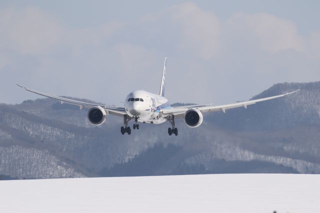 Boeing 787-8 (JA812A) - 07 February 2016:HND-HKD.