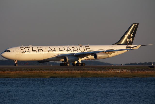 Airbus A340-300 (D-AIGW)