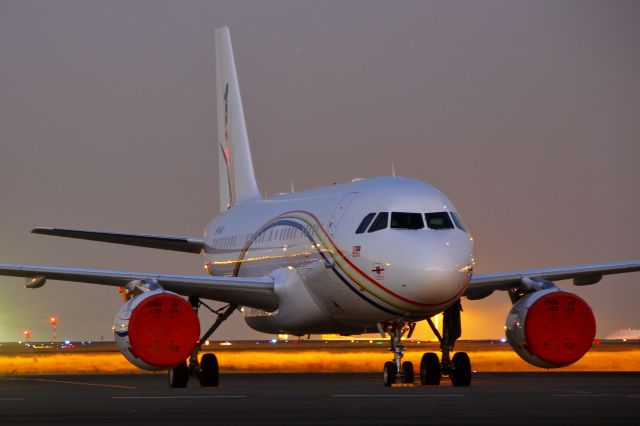 Airbus A319 (9M-NAA) - Malaysia Air Forcebr /(13/12/2013)