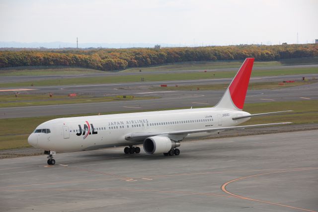 BOEING 767-300 (JA8987)