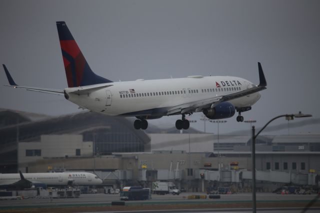 Boeing 737-800 (N3773D)