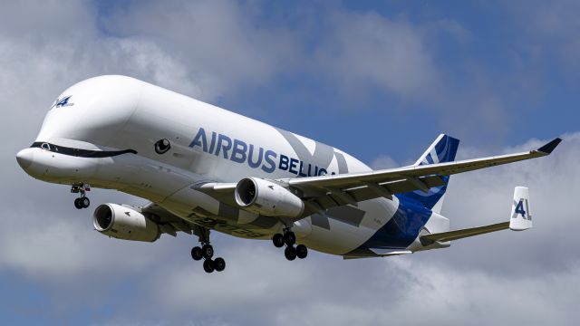 AIRBUS A-330-700 Beluga XL (F-GXLJ) - F-GXLJ landing runway 25