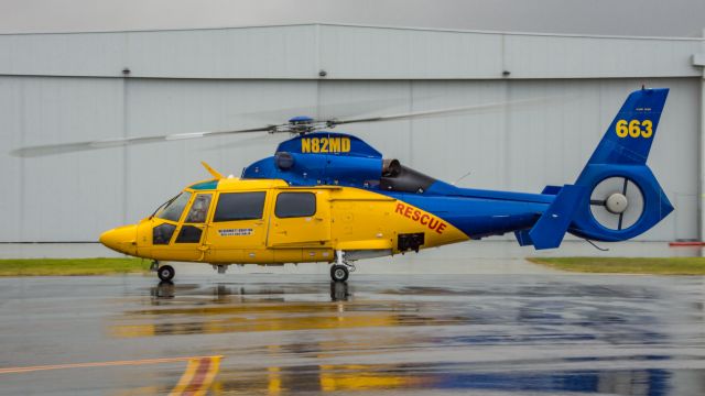 VOUGHT SA-366 Panther 800 (N82MD)