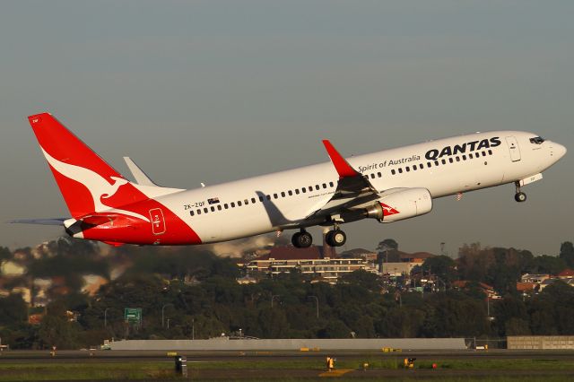 Boeing 737-800 (ZK-ZQF)