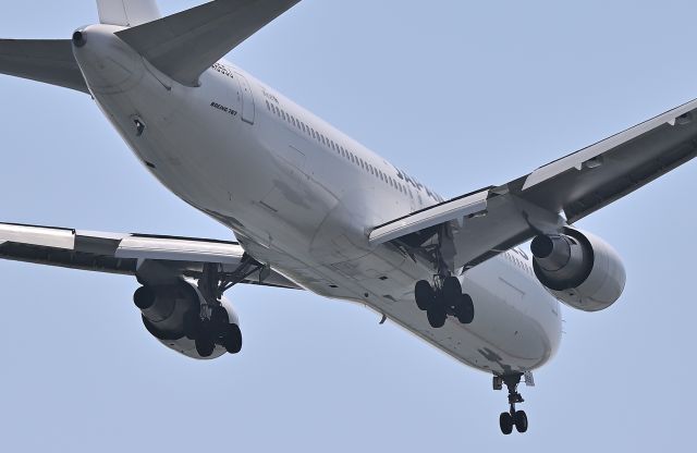 JA655J — - 27.Apr.2025br /Landing at RWY22(B).br /The photo was taken at Jonanjima Seaside Park.